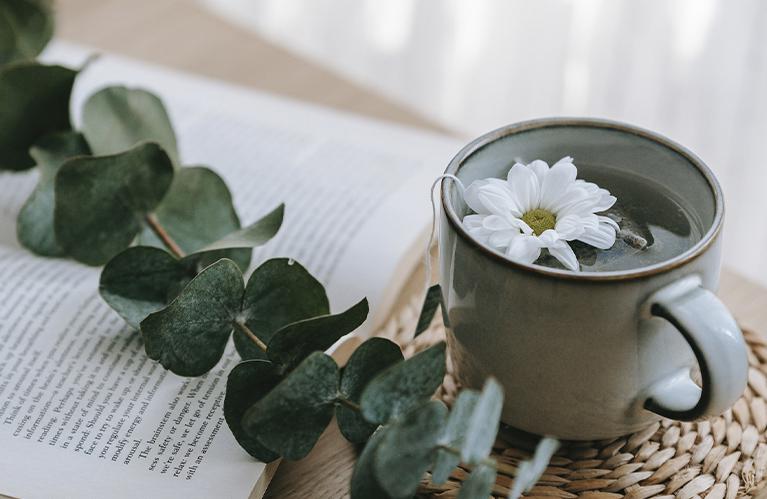 Première Consultation de Naturopathe à Remouillé avec Jennifer Chenard Naturopathe